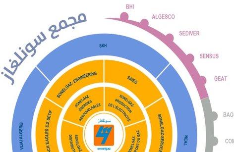 الجزائر تعاون سوريا في مجال الطاقة