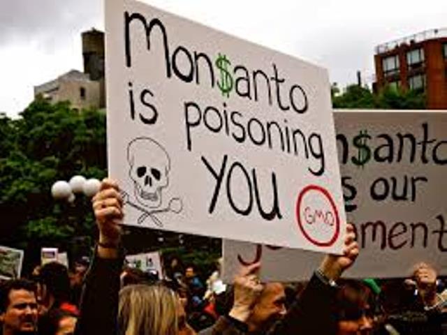 اندماج «باير» ــ «مونسانتو»: الشركات المتعددة الجنسيات تهدد الإستقلال الغذائي لدول العالم  ﻿
