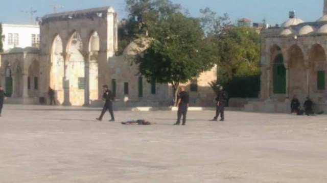 فلسطين المحتلة : مقتل وجرح 5 جنود صهاينة واستشهاد 3 مقاومين في عملية فدائية بالقدس   